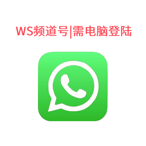 美国-频道号|带100个订阅者